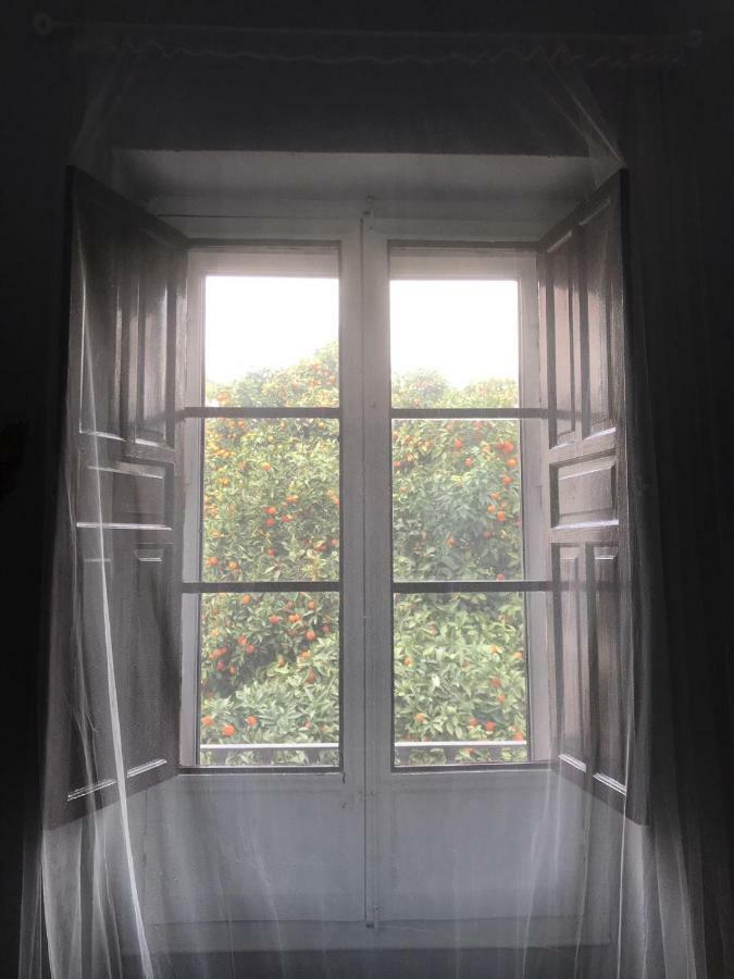Apartamento Plaza De Dona Elvira 8 Sevilla Buitenkant foto